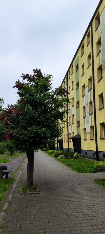 Mieszkanie 3 pokoje 54m² Bez prowizji Tarnów Rolnicza - 1