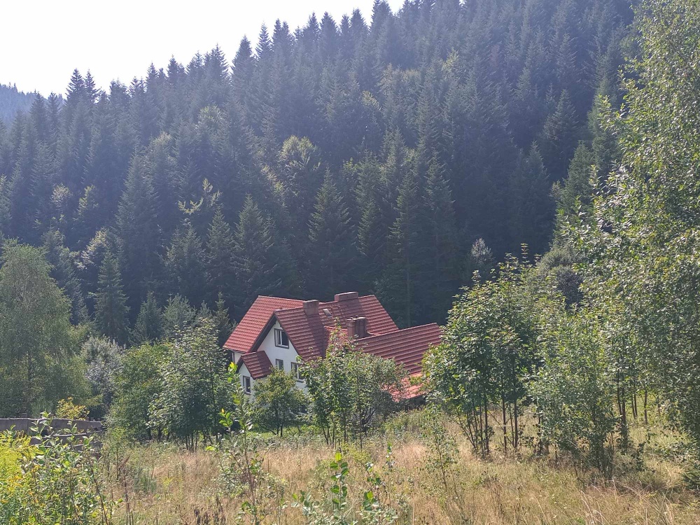 Duży dom na sprzedaż - Szczawa  - 1