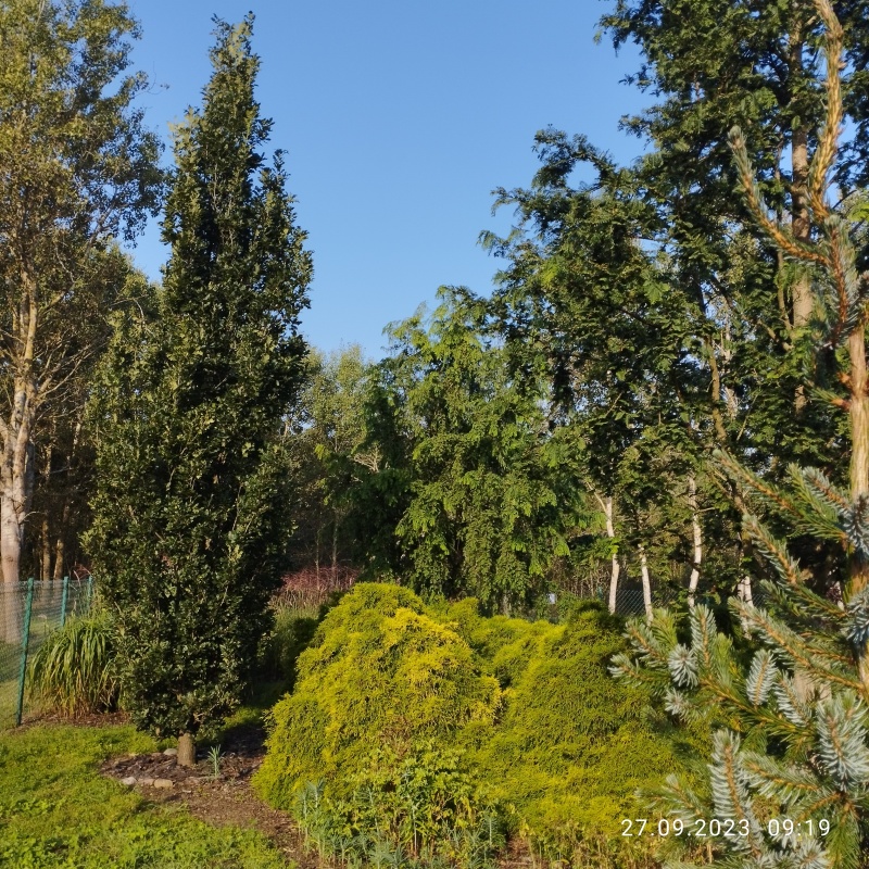 Zadbana działka na sprzedaż - 3