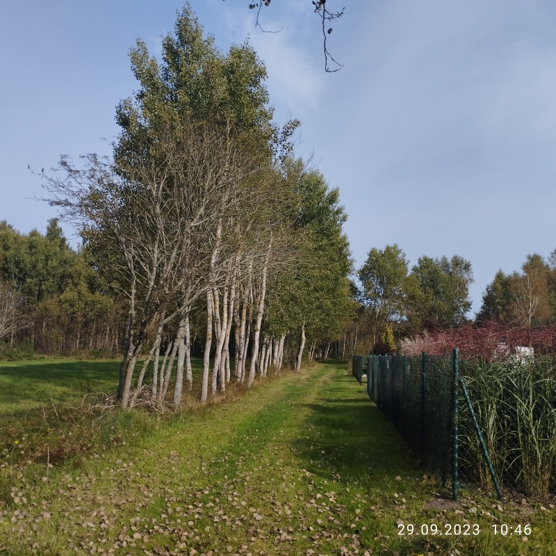 Zadbana działka na sprzedaż - 16