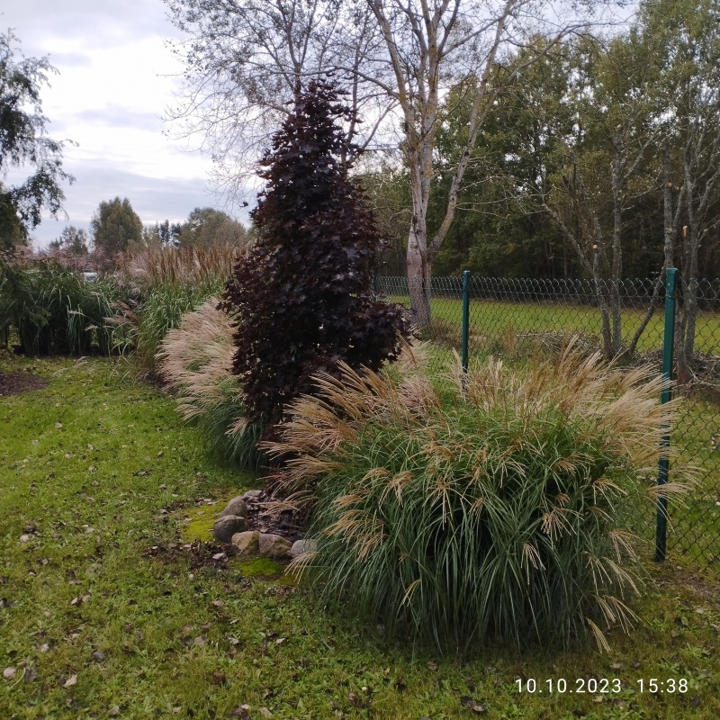 Zadbana działka na sprzedaż - 9