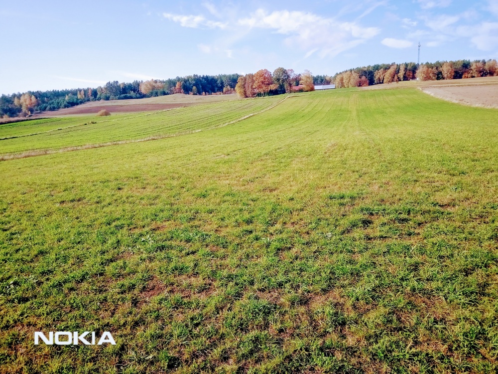   Mazury!!Stare Juchy .Działka 7500m- 38 złm2- - 5