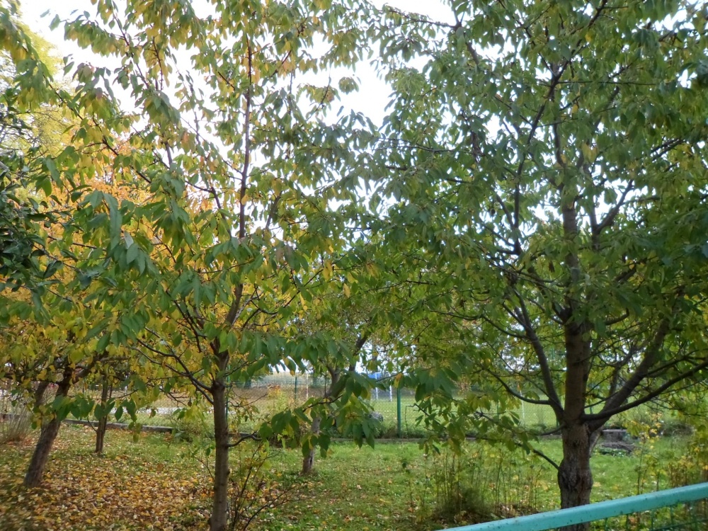 Dom Wolnostojący 90m2 z działką 0.14ha - 3