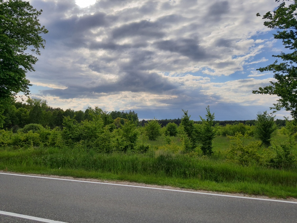 Działka 5400 m2 budowlana pod firmę, działalność, inwestycyjna, warunki zabudowy WZ na 3 domy - 1