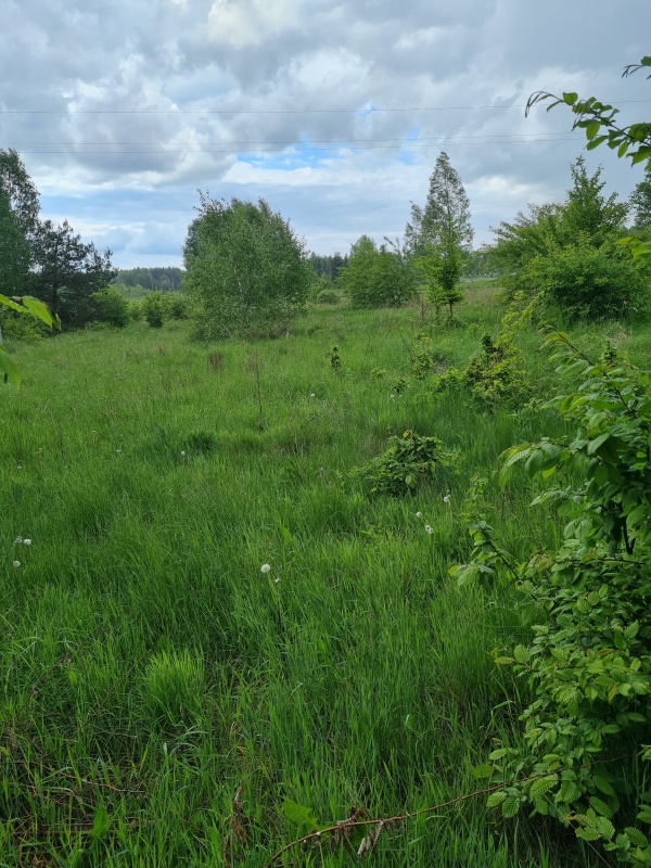 Działka 3200 m2 budowlana pod firmę, działalność, inwestycyjna, warunki zabudowy WZ na 3 domy - 3