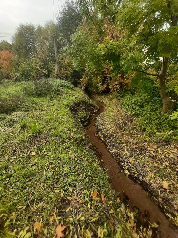 Bliźniak stan Deweloperski DRZONKÓW - 2