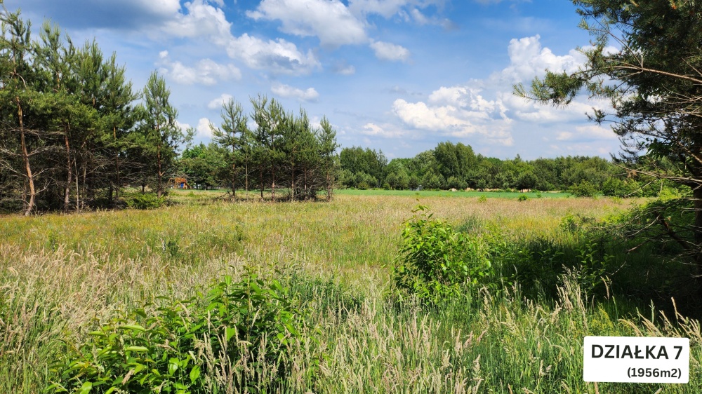 ZBOISKA K.RADZIEJOWIC - DZIAŁKI BUDOWLANE PRZY LESIE, ŚWIETNY DOJAZD S8 DO W-WY, CENY OD 94 TYŚ. ZŁ! - 3