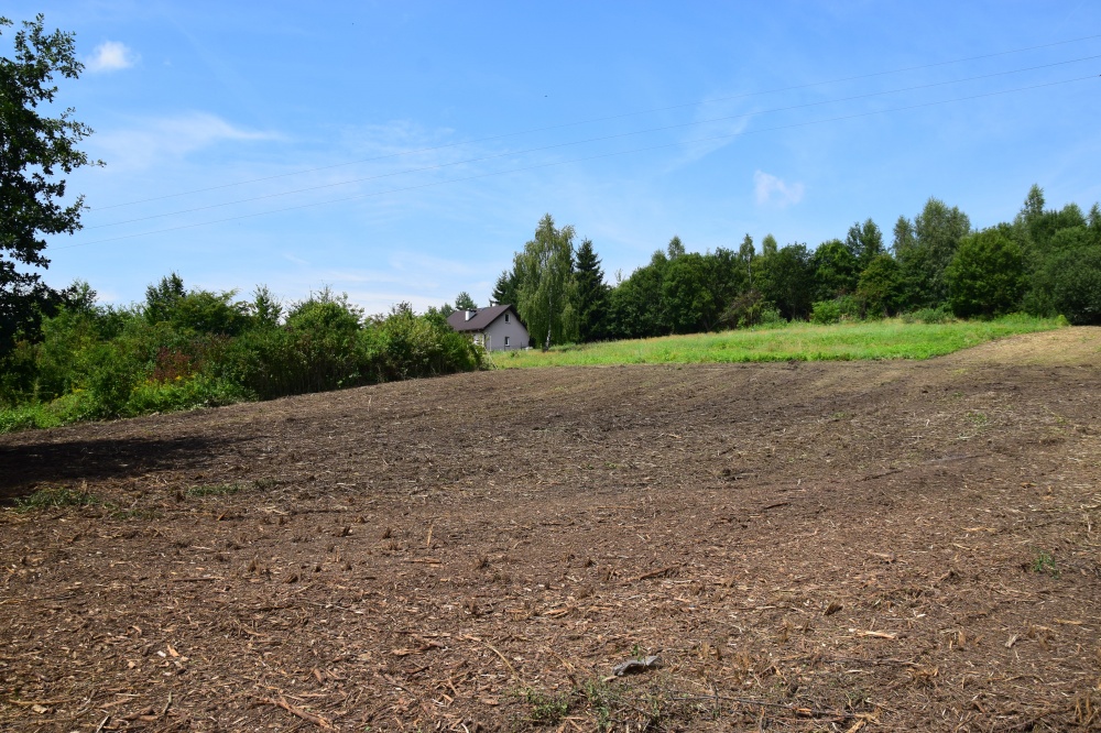 Raciborsko/ Wieliczka, prywatnie,19a ( oraz13 i 14a)  południowy stok , cena 10,000/ ar - 4