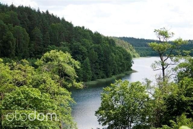 Działki budowlane w lesie nad wodą warmińsko-mazurskie - 1