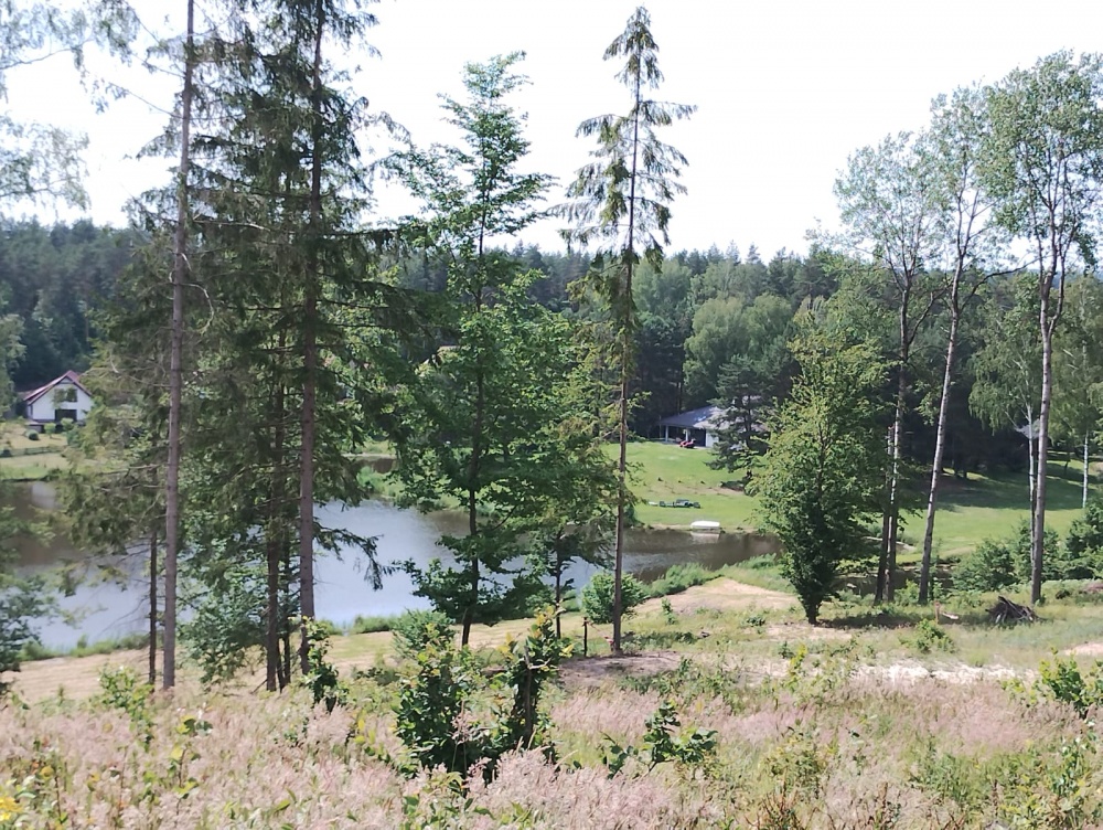 Działki budowlane w lesie nad wodą warmińsko-mazurskie - 2
