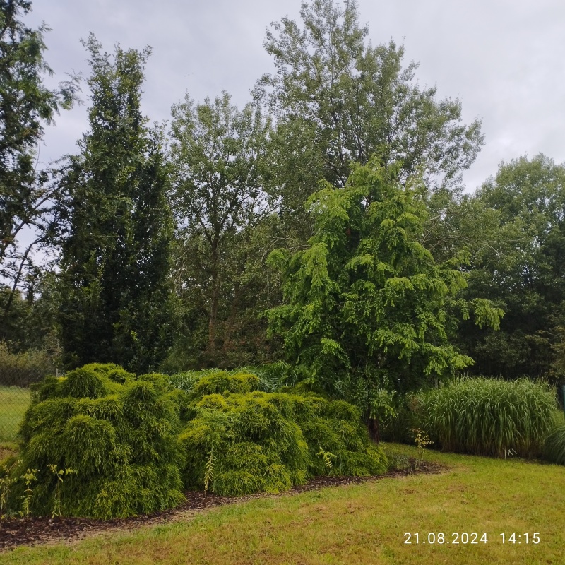 Zadbana działka na sprzedaż - 2