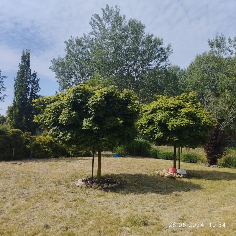 Zadbana działka na sprzedaż - 4