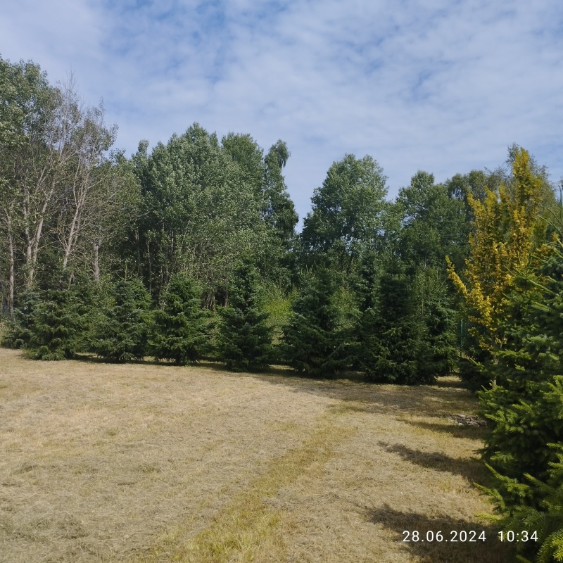 Zadbana działka na sprzedaż - 5