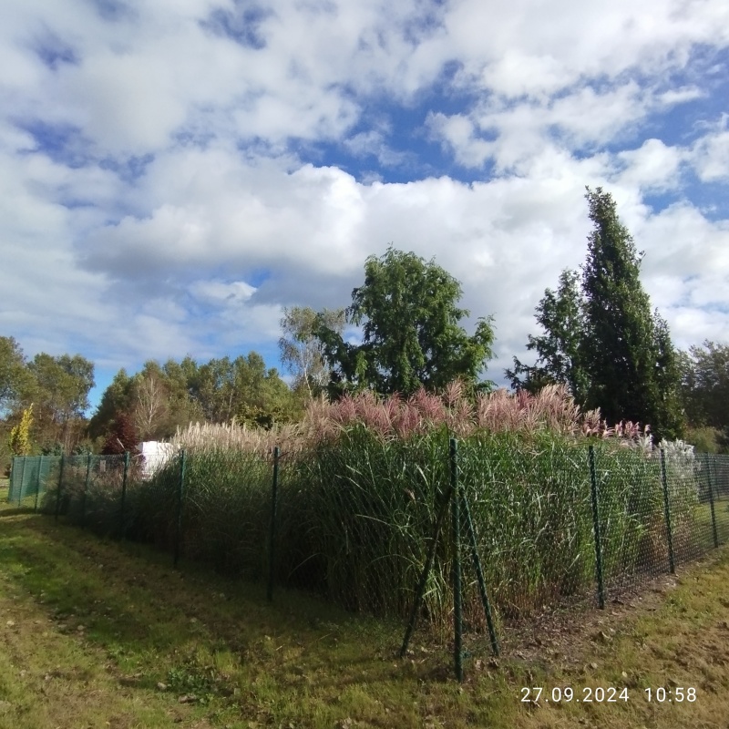 Zadbana działka na sprzedaż - 10