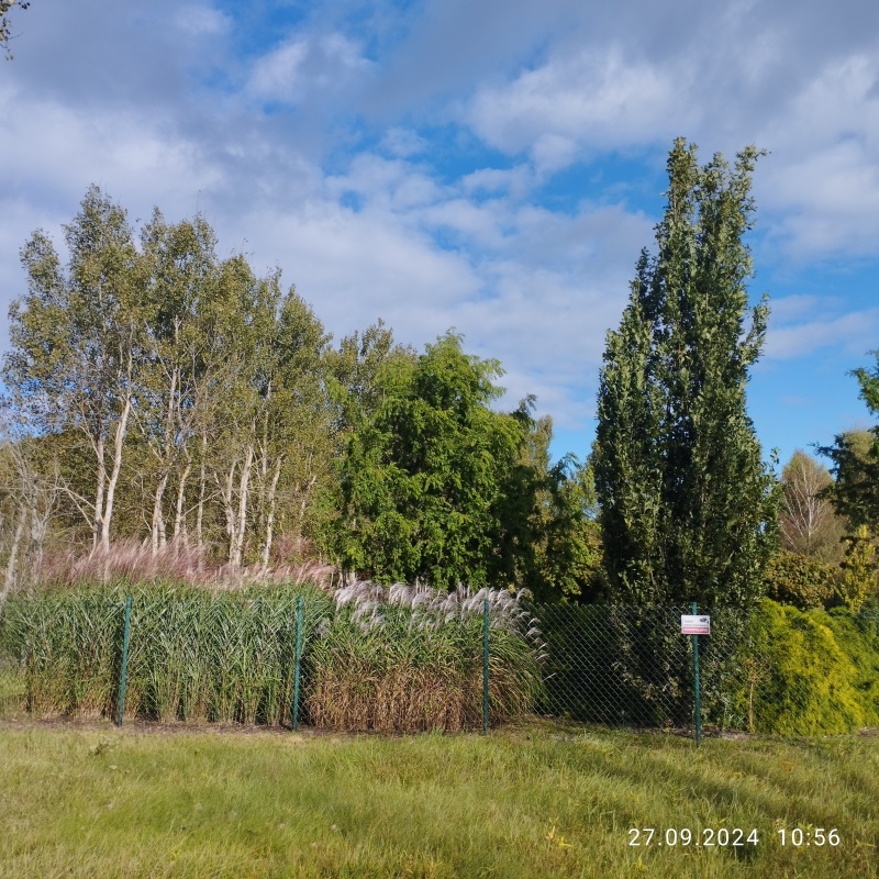 Zadbana działka na sprzedaż - 13