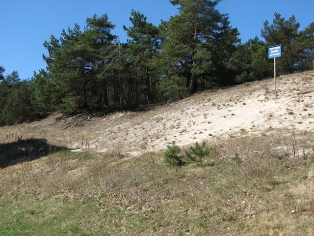 USTKA- Apartament przy porcie 300 m od morza,Las,wydmy - 4