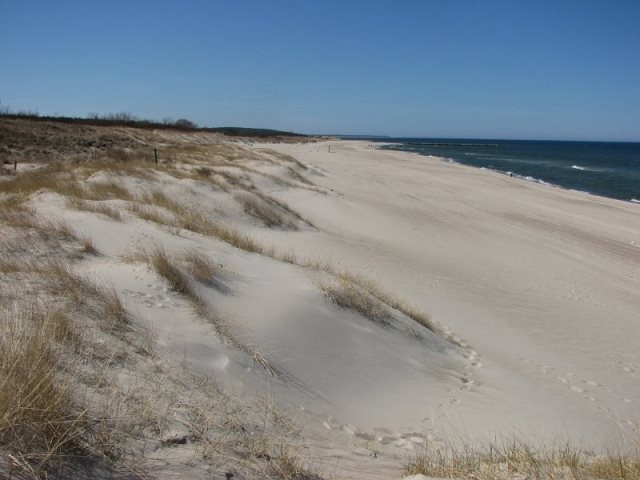 USTKA- Apartament przy porcie 300 m od morza,Las,wydmy - 6