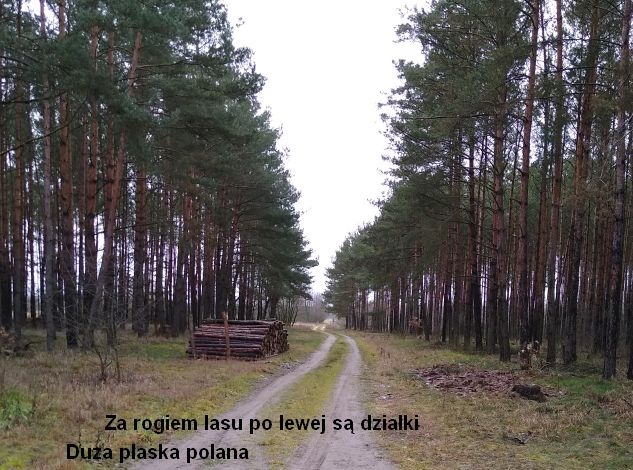Sprzedam działki w Sosnowcu Wielkim k/Rynarzewa - 10