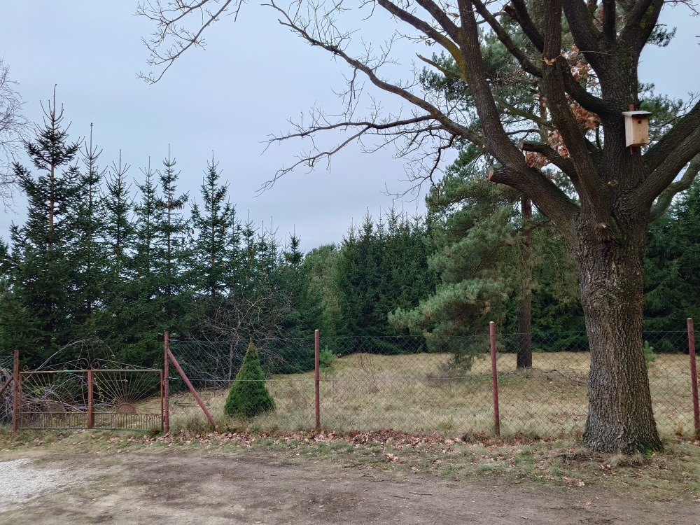 Wola Kamieńska, Iława, iławski, warmińsko-mazurskie - 5