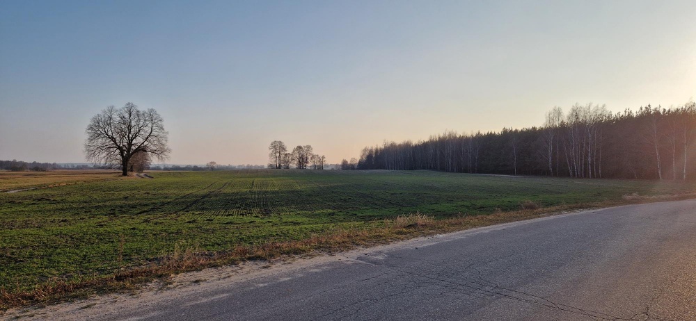 Sprzedam działkę budowlaną, Stara Wieś, gm. Rząśnik, powiat wyszkowski, mazowieckie - 2