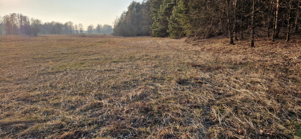 Sprzedam działkę budowlaną, Stara Wieś, gm. Rząśnik, powiat wyszkowski, mazowieckie - 9