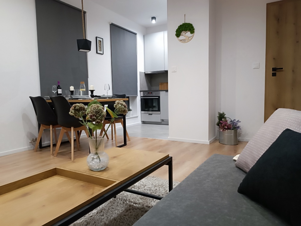 Apartament VIVA PIAST - 3