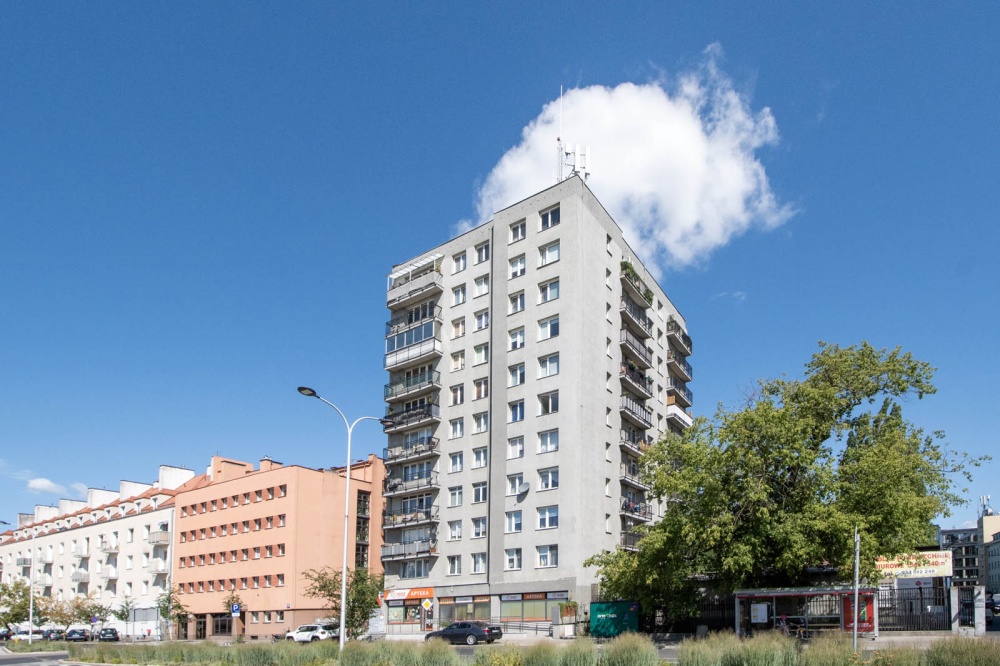 Bezpośrednio. 3 pokoje. Po generalnym remoncie!  - 9