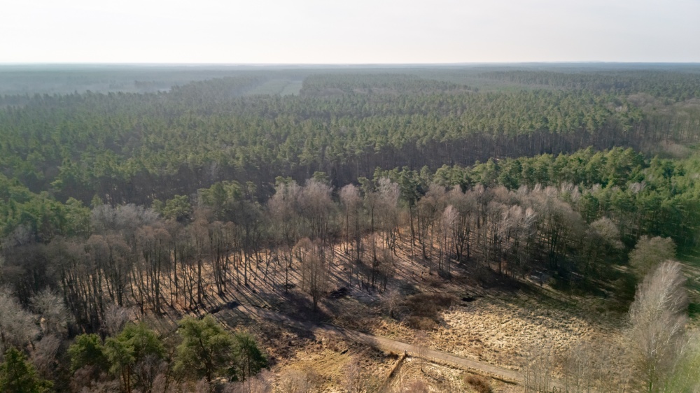 Działka przy lesie, nad Zalewem Szczecińskim z warunkami. - 3
