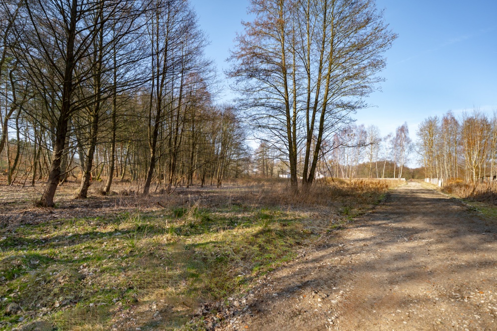 Działka przy lesie, nad Zalewem Szczecińskim z warunkami. - 4
