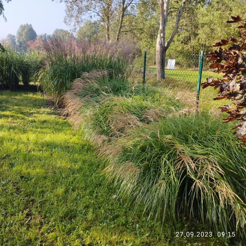 Zadbana działka na sprzedaż - 7