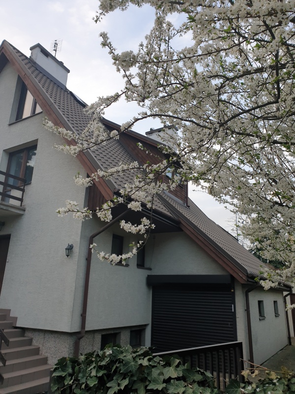 BEZPOŚREDNIO dom WOLNOSTOJĄCY Żoliborz - 3