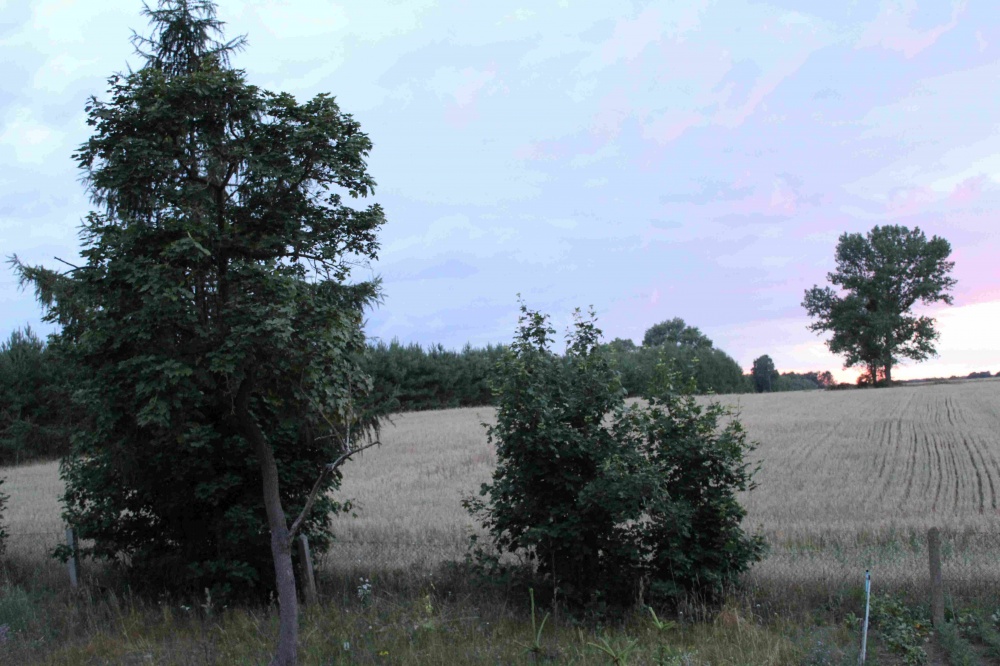 Mieszkanie w uroczej okolicy z dobrym dojazdem - pełna własność. Sprzedam lub zamienię na Warszawę - 12