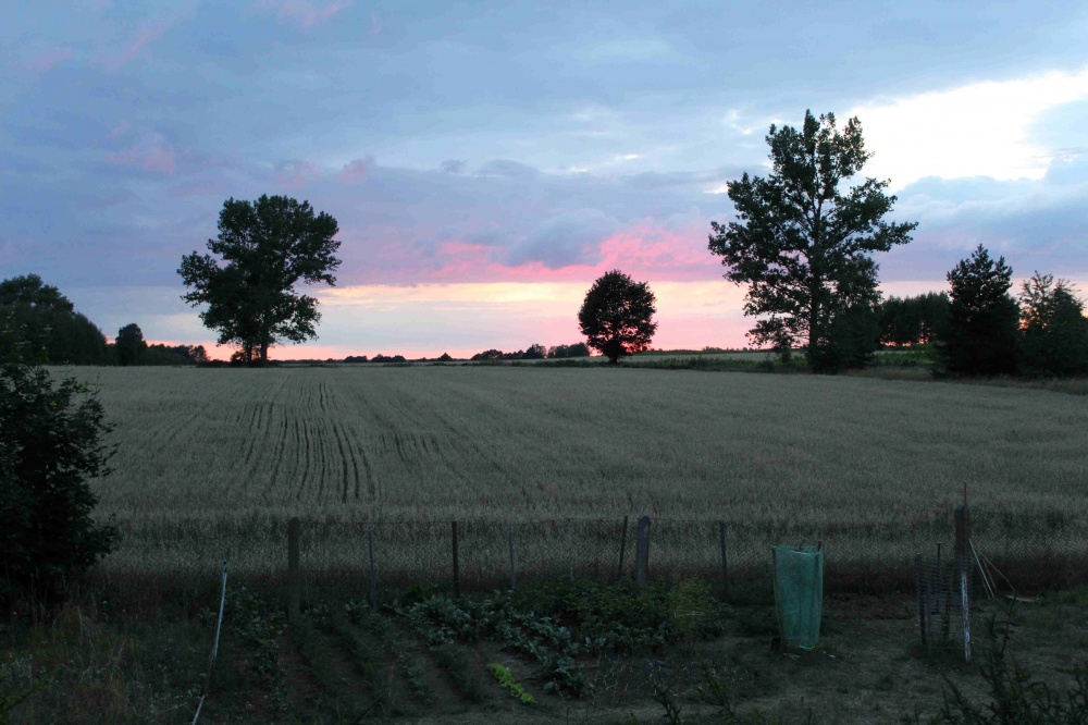 Mieszkanie w uroczej okolicy z dobrym dojazdem - pełna własność. Sprzedam lub zamienię na Warszawę - 13