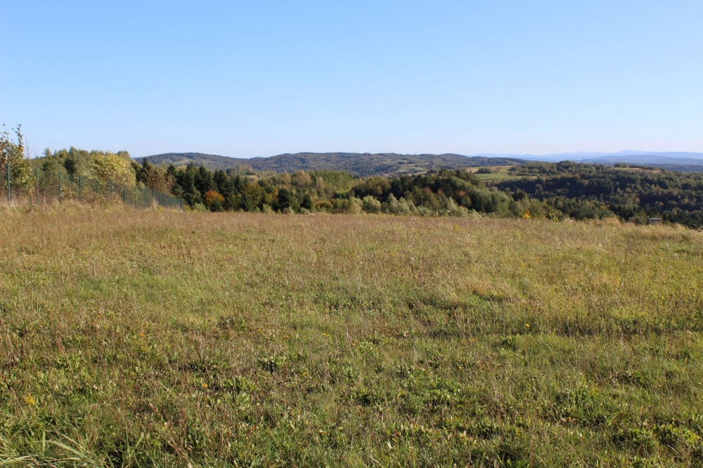 Działka budowlana przy drodze z widokiem na Bieszczady - 3