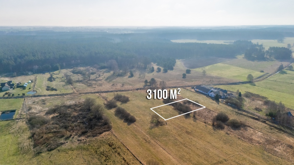 Działka w zielonej okolicy z wydanymi warunkami pod Szczecinem - 0