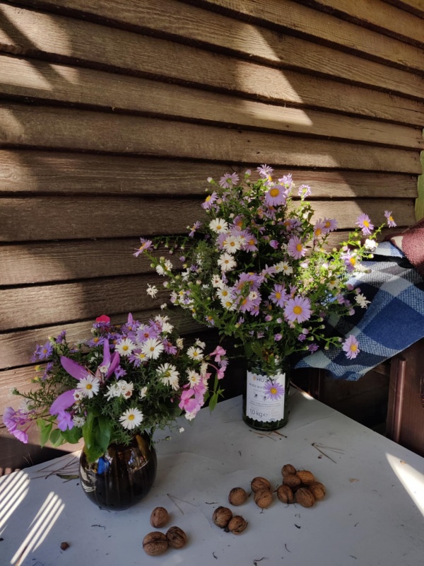 Działka Rekreacyjna ROD 500m2 Paluch 1 Włochy, Warszawa - 11