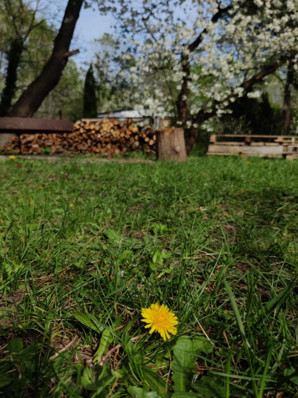 Działka Rekreacyjna ROD 500m2 Paluch 1 Włochy, Warszawa - 7