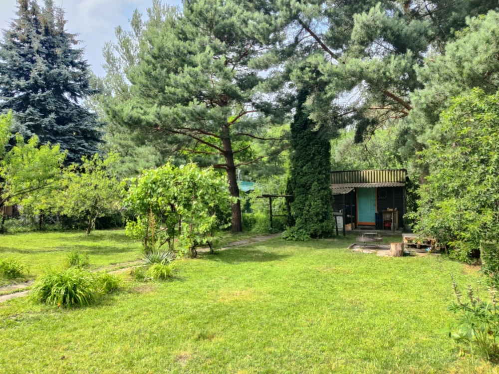 Działka Rekreacyjna ROD 500m2 Paluch 1 Włochy, Warszawa - 3