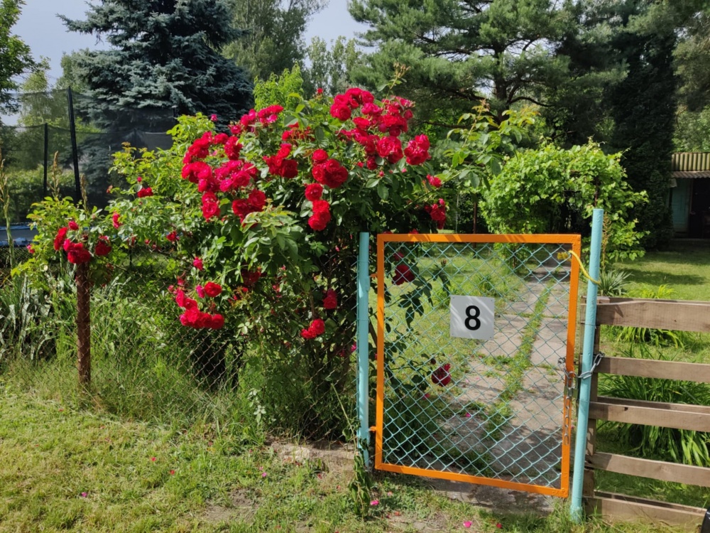 Działka Rekreacyjna ROD 500m2 Paluch 1 Włochy, Warszawa - 5