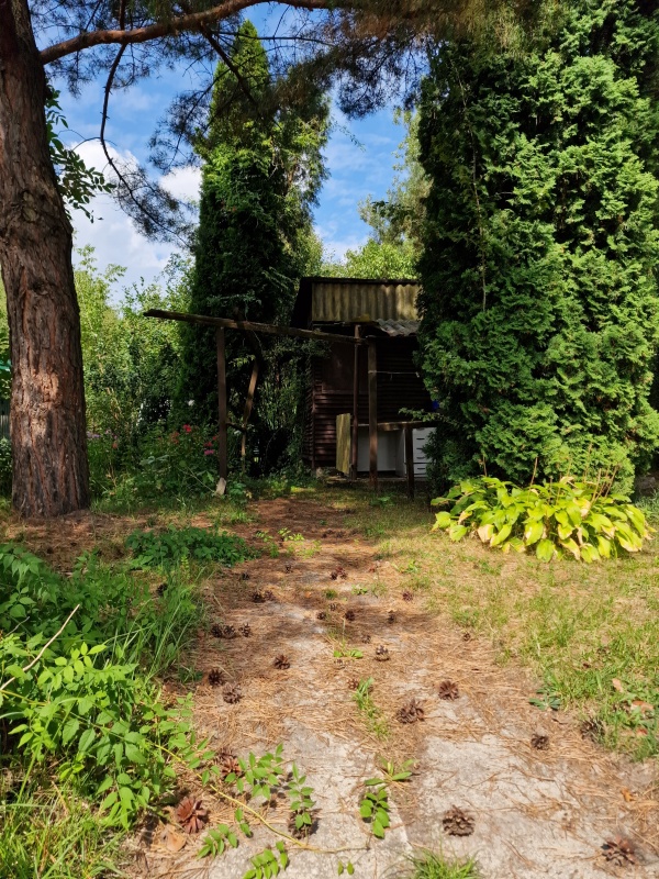 Działka Rekreacyjna ROD 500m2 Paluch 1 Włochy, Warszawa - 0