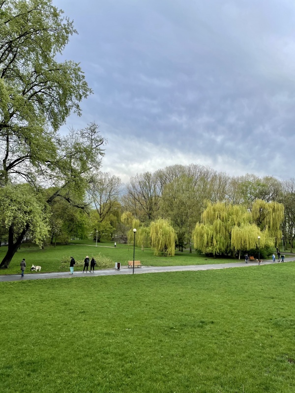 MOKOTÓW 2 pokoje PREMIUM obok parku - 16