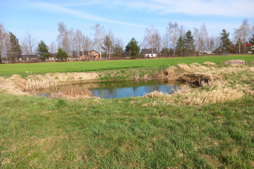 Działka budowlana ze stawem - 8