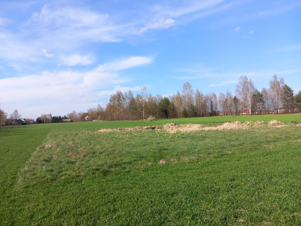 Działka budowlana ze stawem - 3