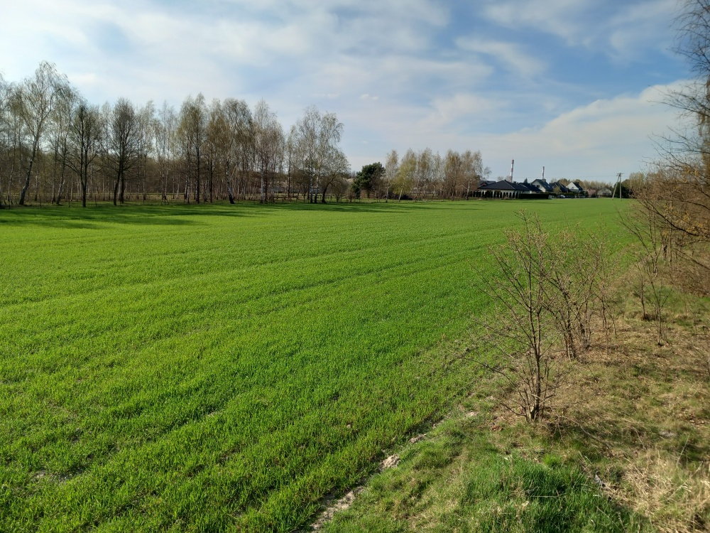 Działka budowlana ze stawem - 4