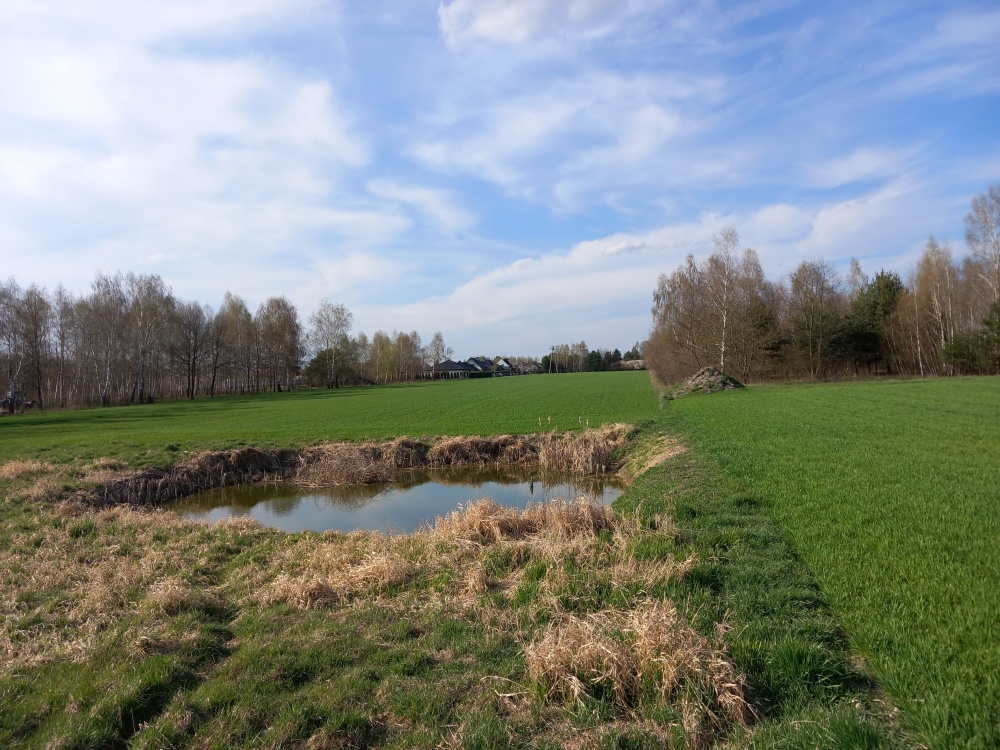 Działka budowlana ze stawem - 7