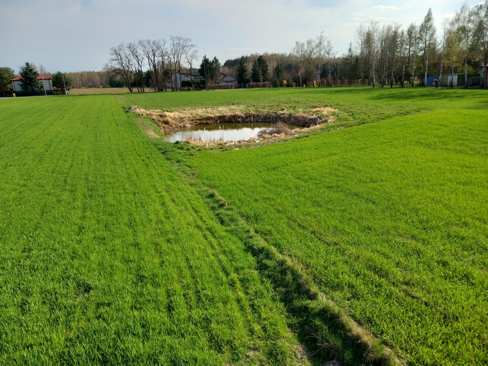 Działka budowlana ze stawem - 9