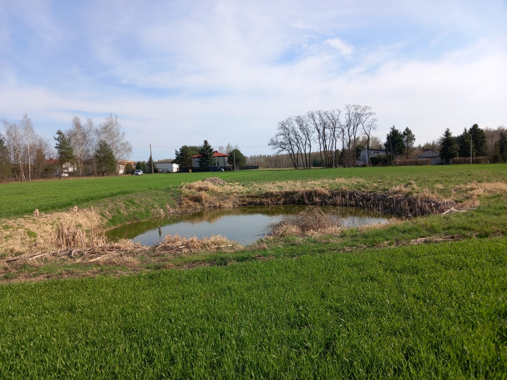 Działka budowlana ze stawem - 11