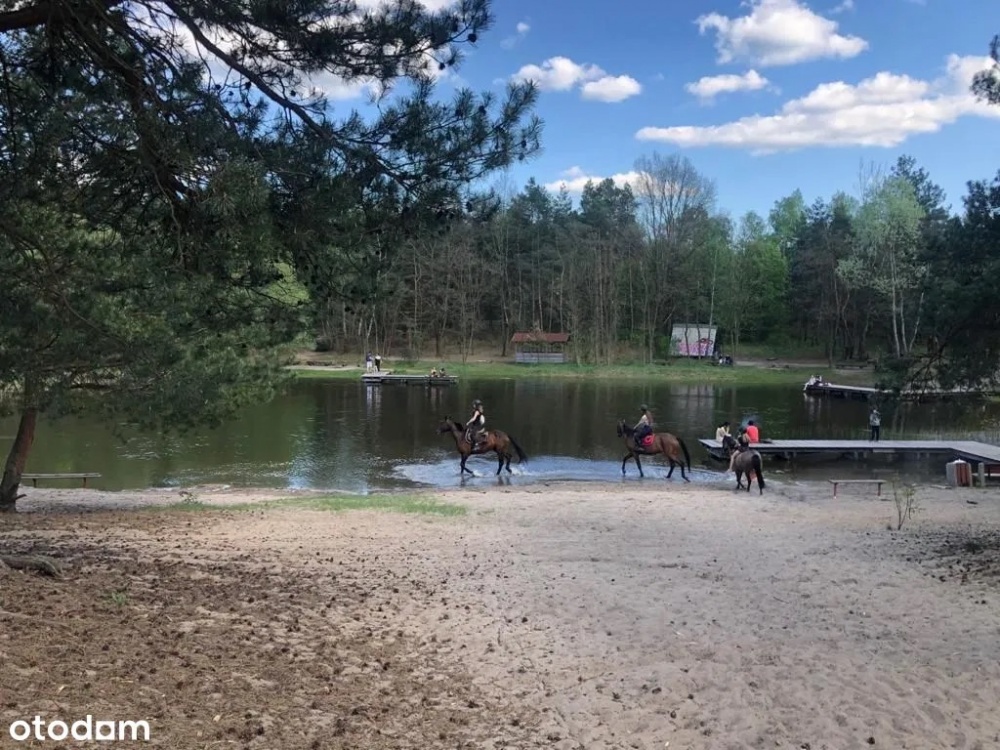 Villa Morskie Oko II, luksusowe domy wolnostojące z basenem  - 2