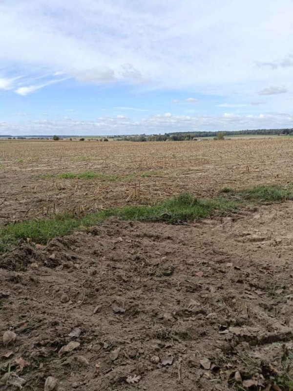Sprzedam działkę budowlaną w Wierciszowie - 3