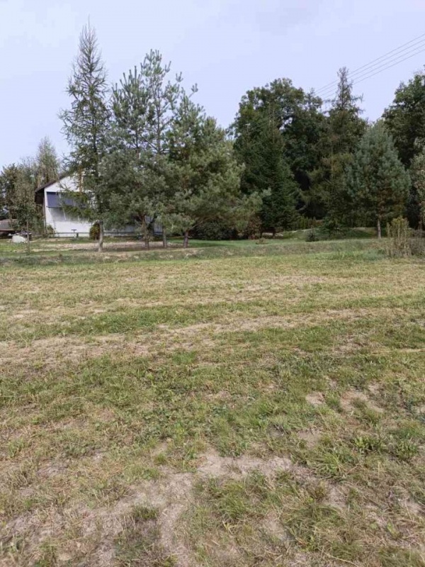 Sprzedam działkę budowlaną w Wierciszowie - 4